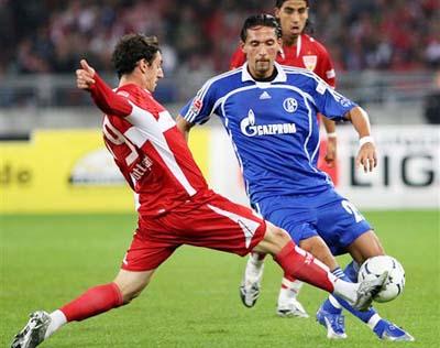 了新的活力 了新的活力